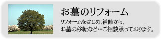 ̃tH[